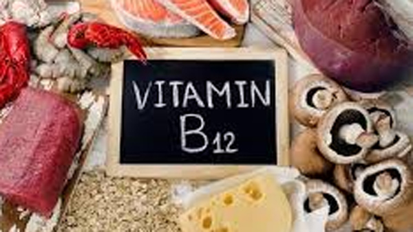 These are the Best foods that are rich in vitamin B12