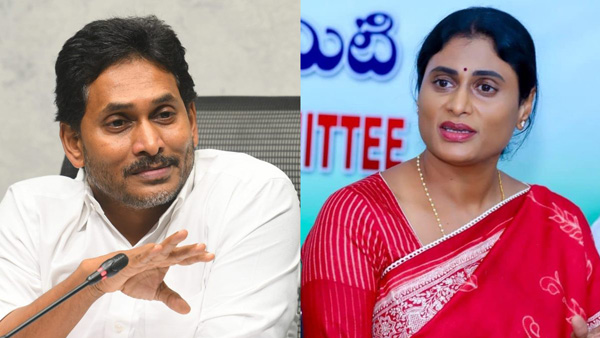 ys jagan versus ys Sharmila war expands to ysrcp now congress maintaining strategic silence