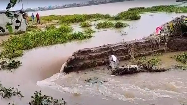 The chain pond of the Kakatiyas Bhadrakali lake cleaning process began