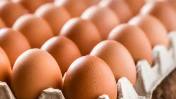 Advantages and Disadvantages of brown egg