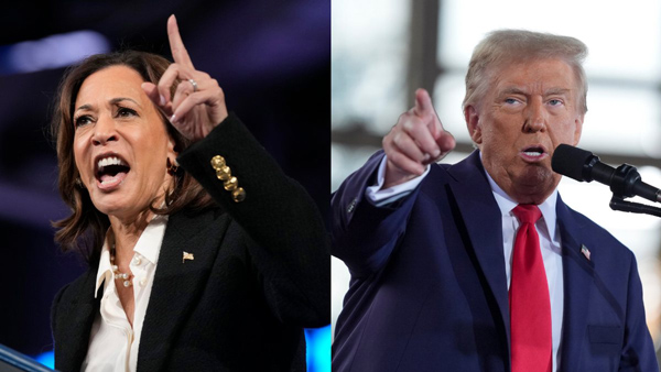 Kamala Harris and Donald Trump are locked in a fierce battle across seven key swing states