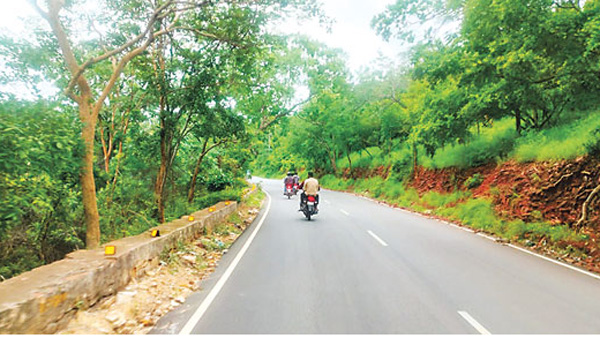 Elevated Corridor in Srisailam nallamala forest area Center gave a boon for nature lovers