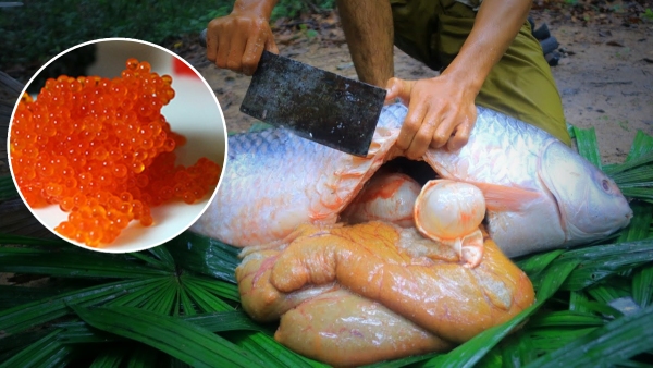 Do you know what happens to your health if you eat fish eggs Do you know what happens to your health if you eat fish eggs