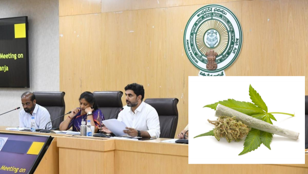Govt schemes will be cancelled to them who sells ganja in AP Eagle to erodicate drugs Govt schemes will be cancelled to them who sells ganja in AP Eagle to erodicate drugs