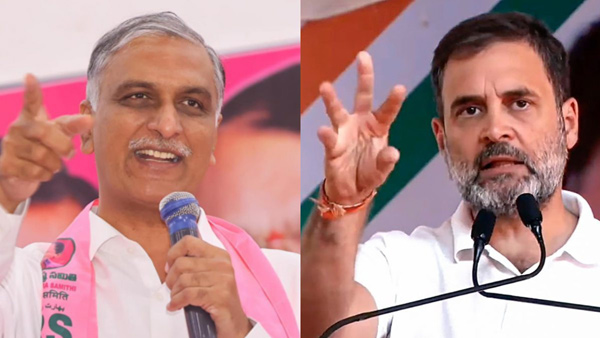 You should Visit Ashok Nagar Harish Rao slams Rahul Gandhi and congress