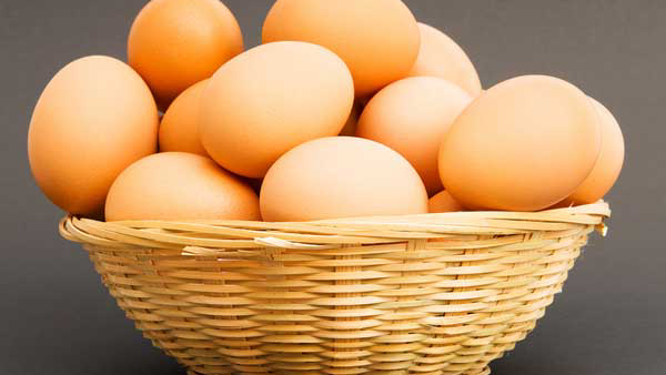 Protein full eggs may cause severe allergies and death in extreme conditions
