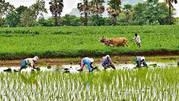 Maharashtra election 2024 Key highlighs in MVA s manifesto released by Mallikarjun Kharge