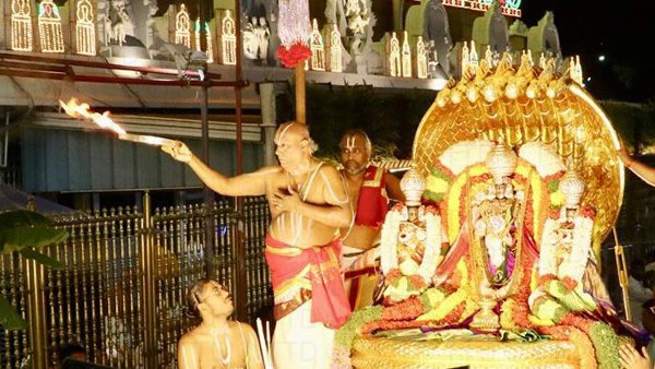 The procession of Sri Ugra Srinivasa Murty in Tirumala on November 13 The procession of Sri Ugra Srinivasa Murty in Tirumala on November 13