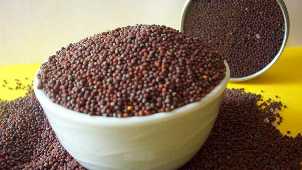 The health wonders of mustard seeds are endless what happens if you eat it The health wonders of mustard seeds are endless what happens if you eat it