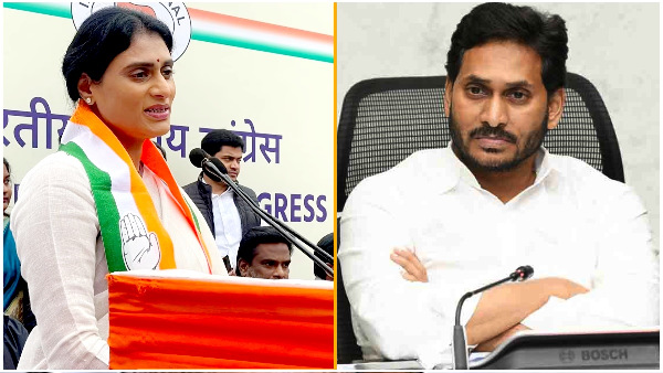 APCC Chief YS Sharmila slams YS Jagan