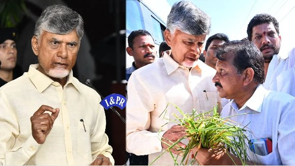AP government has taken a decision by fixing the remunerative price of Rs 19 thousand for palm oil farmers AP government has taken a decision by fixing the remunerative price of Rs 19 thousand for palm oil farmers