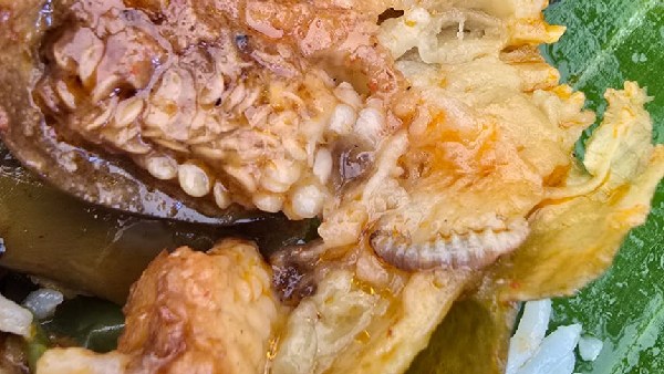 The pictures of worm found in the curry served in a canteen are going viral on social media