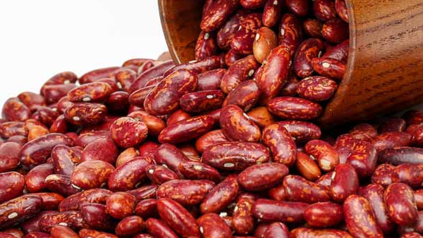 Why You Should Eat Rajma Regularly for Better Health Why You Should Eat Rajma Regularly for Better Health