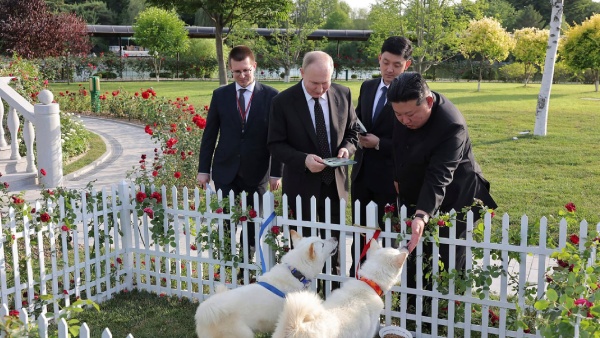 Exotic Gesture Putin Sends Lions and Bears to North Korea as Ties Deepen