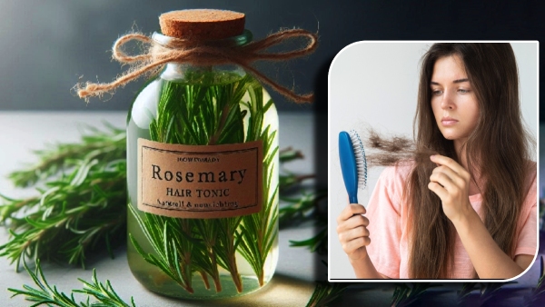 Can Rosemary Water Reduce Hair Fall A Detailed Guide