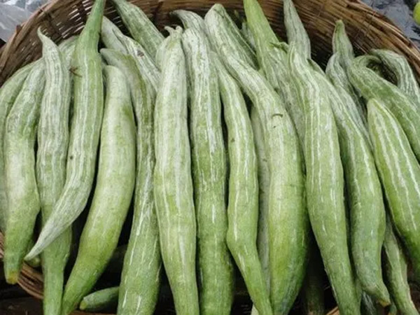 These are the foods that should not be eaten after eating gourd Did you eat it by mistake