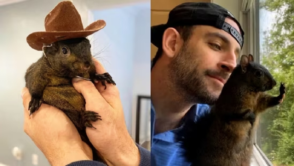 Squirrel became flashpoint in US president elections