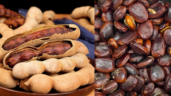 Tamarind seeds gives health benefits reduces cholesterol and many more