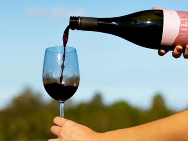 Does drinking wine increase beauty How true is this