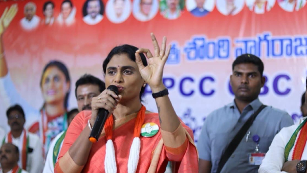 ys Sharmila demands to arrest ys avinash reddy sajjala Bhargav reddy in social media posts case ys Sharmila demands to arrest ys avinash reddy sajjala Bhargav reddy in social media posts case