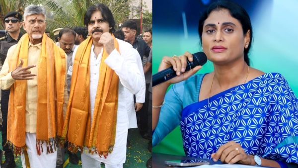 ys Sharmila supports Chandrababu government over this ysrcp worker arrest