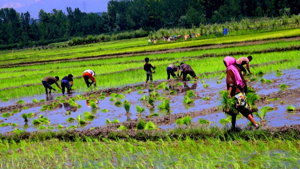The government will deposit Rs 12 000 in the accounts of those who do not have agricultural land