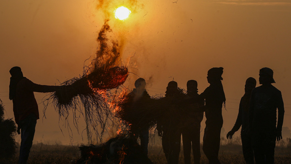 Cold wave grips Delhi Safdarjung recorded 7 1
