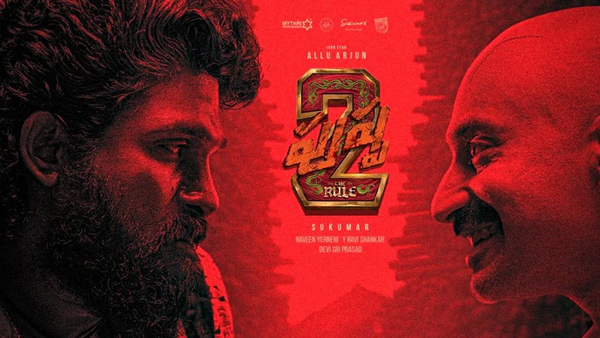 dammunte pattukora shekhawat song delete in pushpa2 movie