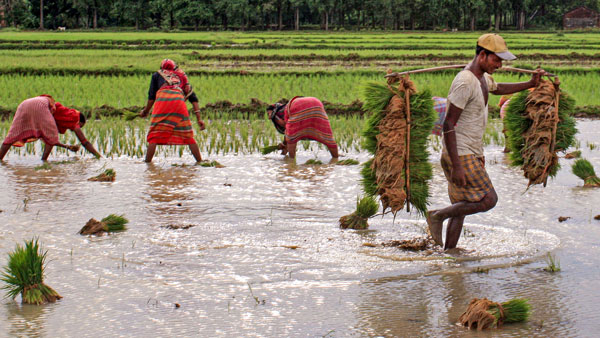 Government to submit recommendations for implementation of Rythu Bharosa in assembly Sessions