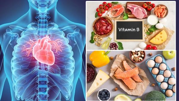 Essential Vitamin B Foods to Enhance Heart Function