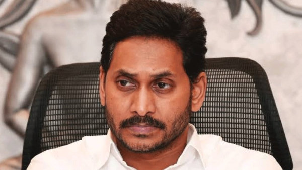 Jagan had hoped for Jamili election was disappointed
