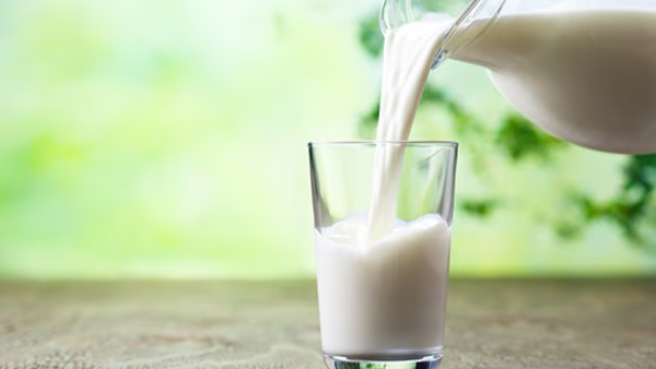 Advantages and disadvantages of drinking raw milk