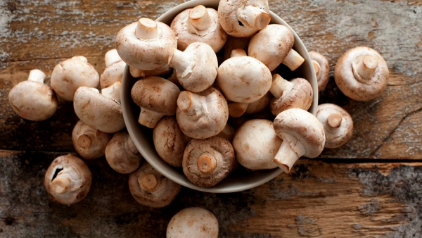 are you eating mushrooms then you need know the health benefits of mushrooms are you eating mushrooms then you need know the health benefits of mushrooms