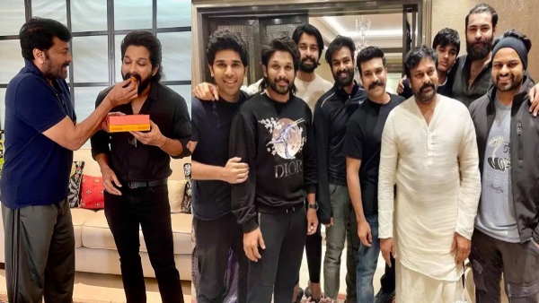 allu arjun counter on mega family in pushpa 2 movie