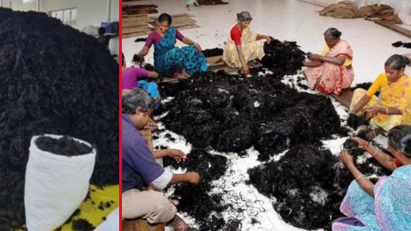 Do you know the price of a kilo of hair Do you know the price of a kilo of hair