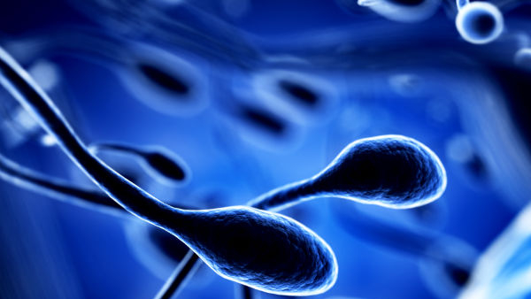 How is sperm produced in men