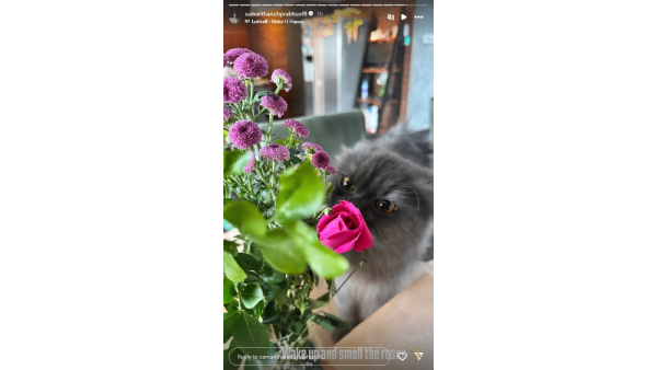 heroine samantha share a cute cat photo