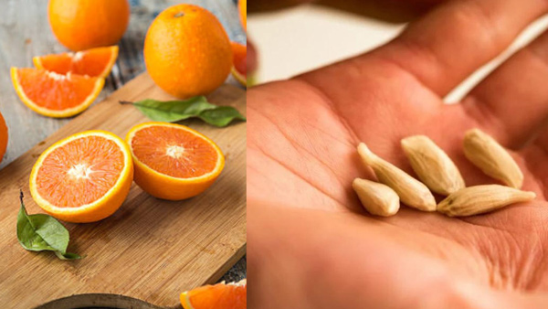 Are you throwing away orange seeds Do you know what to do with them