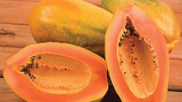 eating papaya in winter somany health benefits