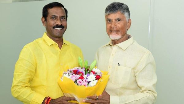palla Srinivasa rao interesting comments on cabinet reshuffle says tdp post bigger than minister