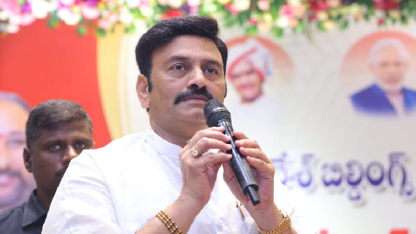 ap deputy speaker raghurama Krishnam raju extends support to allu arjun key comments