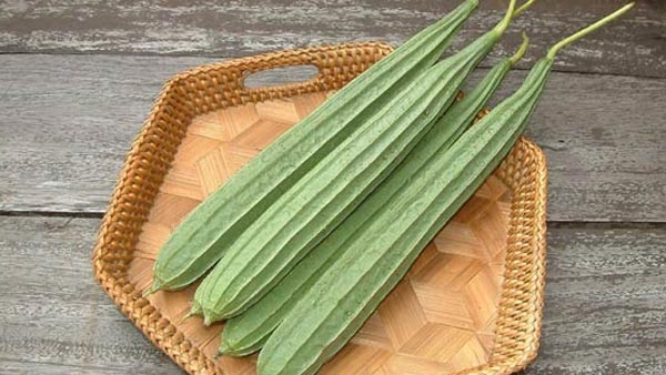 Many health benefits with ridge gourd it reduces diabetes and obesity too