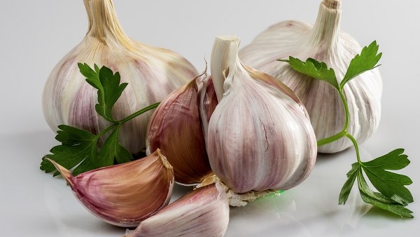 If you know the health benefits of garlic you would eat it every day