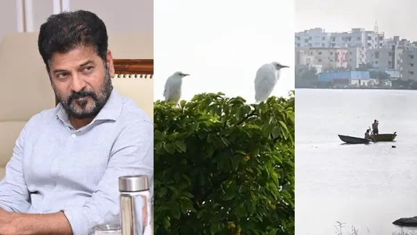 Telangana Goes Green Revanth Reddys Bold Environmental Agenda