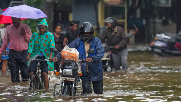 Tamil Nadu rains 10 districts including Chennai declare holiday amid heavy rainfall