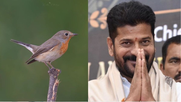 If we take care of nature nature will take care of us CM Revanth reddy interesting tweet If we take care of nature nature will take care of us CM Revanth reddy interesting tweet