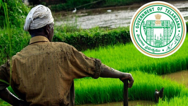 Govt to finalise new guidelines to extend the aid for the upcoming Yasangi season Govt to finalise new guidelines to extend the aid for the upcoming Yasangi season