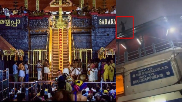 A devotee from Karnataka died after jumping off the flyover at the Sannidhanam in Sabarimala temple