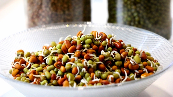 Benefits and Side Effects Sprouted Seeds for Breakfast