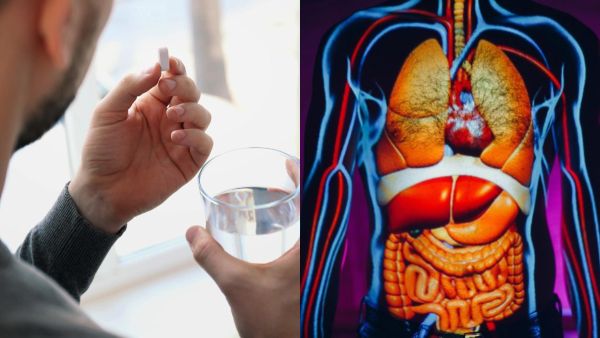 Excessive use of paracetamol can cause kidney liver and heart damage